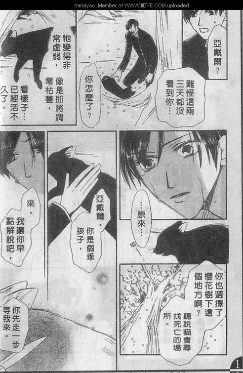 白月的女神[耽美]韩漫全集-第8卷无删减无遮挡章节图片 