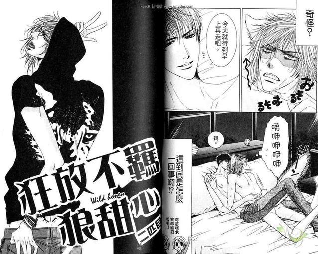 狂放不羁狼甜心[耽美]韩漫全集-第1卷无删减无遮挡章节图片 