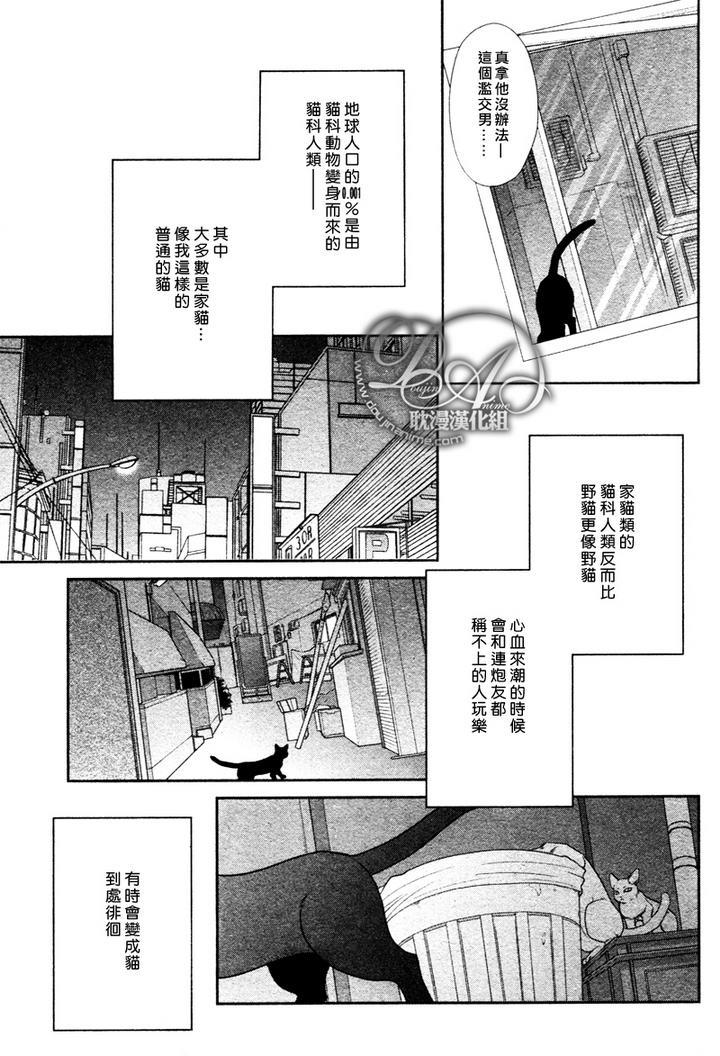 黑猫男友/不悦男友系列合集[耽美]韩漫全集-玩弄法无删减无遮挡章节图片 