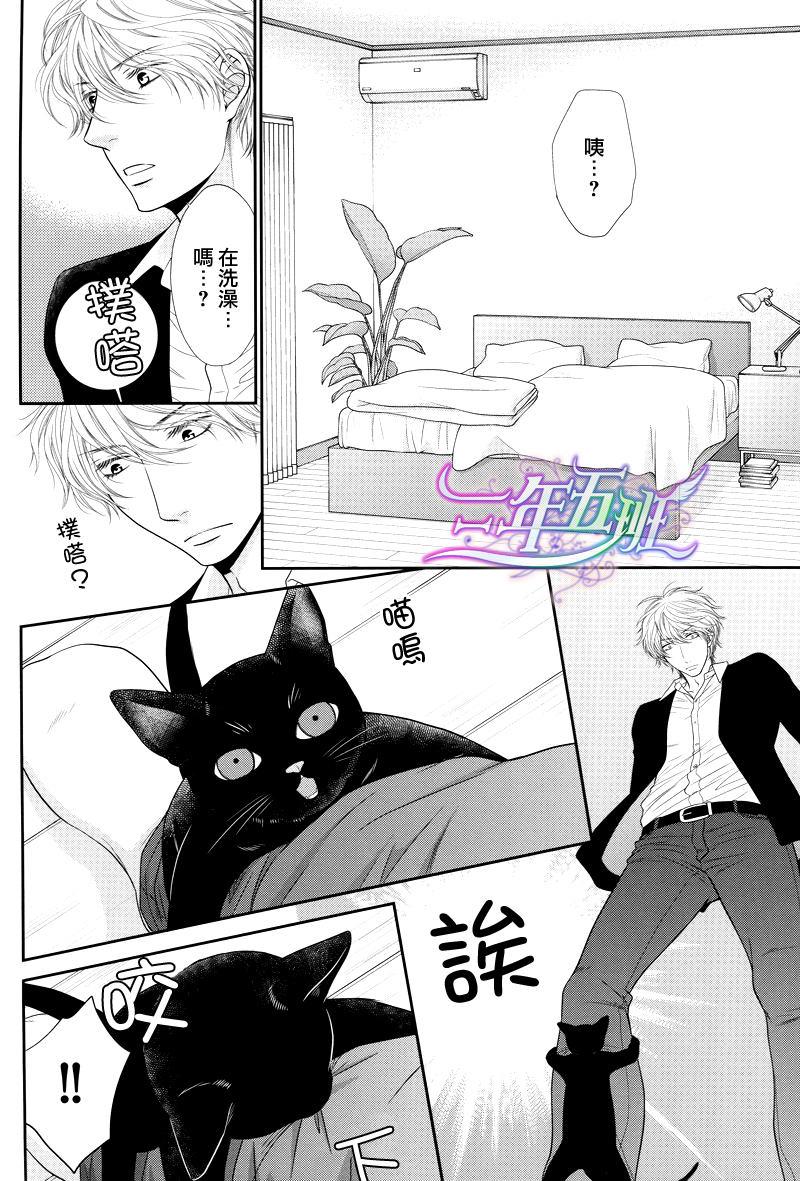 黑猫男友/不悦男友系列合集[耽美]韩漫全集-系列番外无删减无遮挡章节图片 