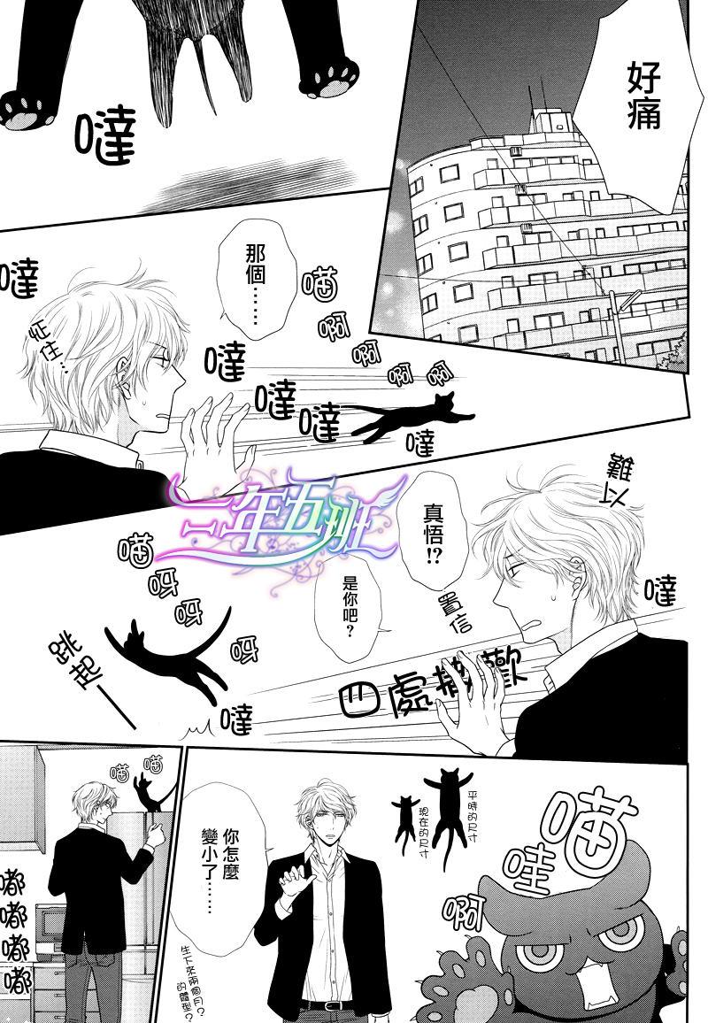 黑猫男友/不悦男友系列合集[耽美]韩漫全集-系列番外无删减无遮挡章节图片 