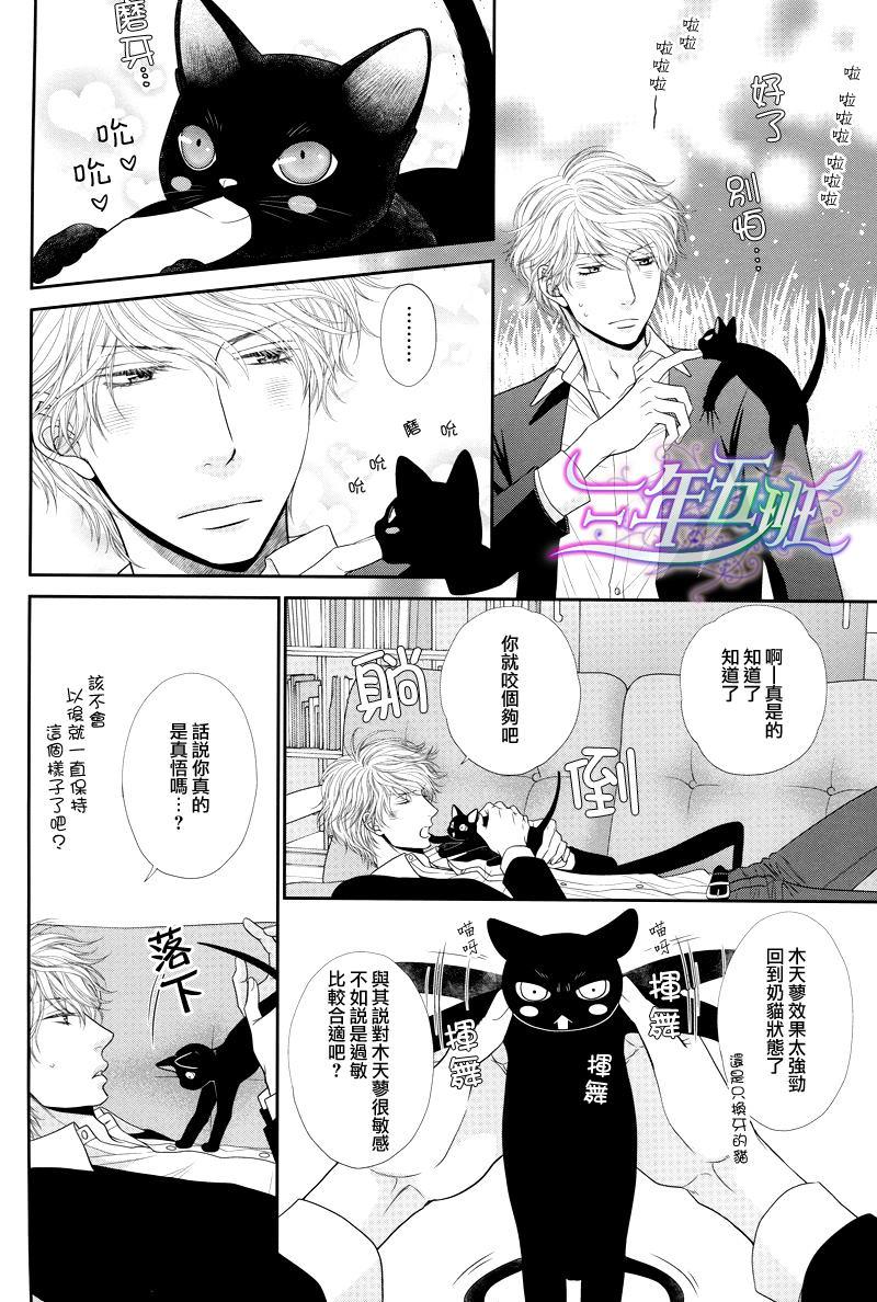 黑猫男友/不悦男友系列合集[耽美]韩漫全集-系列番外无删减无遮挡章节图片 