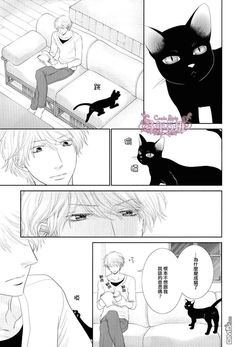 黑猫男友/不悦男友系列合集[耽美]韩漫全集-系列番外无删减无遮挡章节图片 