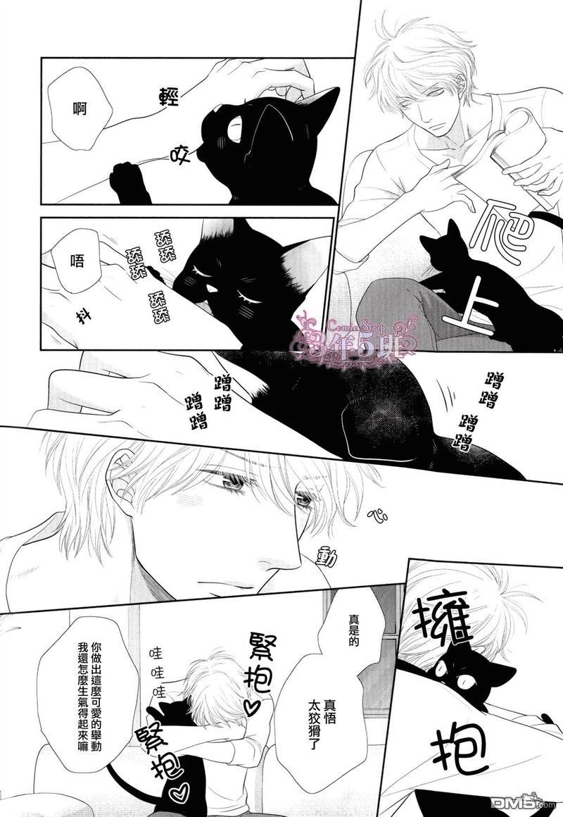 黑猫男友/不悦男友系列合集[耽美]韩漫全集-系列番外无删减无遮挡章节图片 
