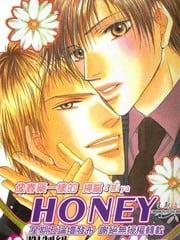 像春药一样的HONEY[耽美]