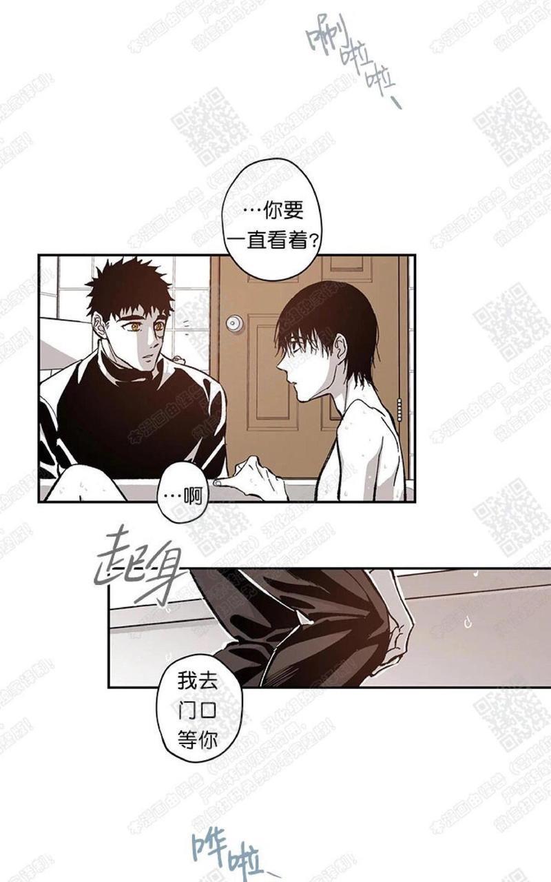 监禁仓库[耽美]韩漫全集-第52话无删减无遮挡章节图片 