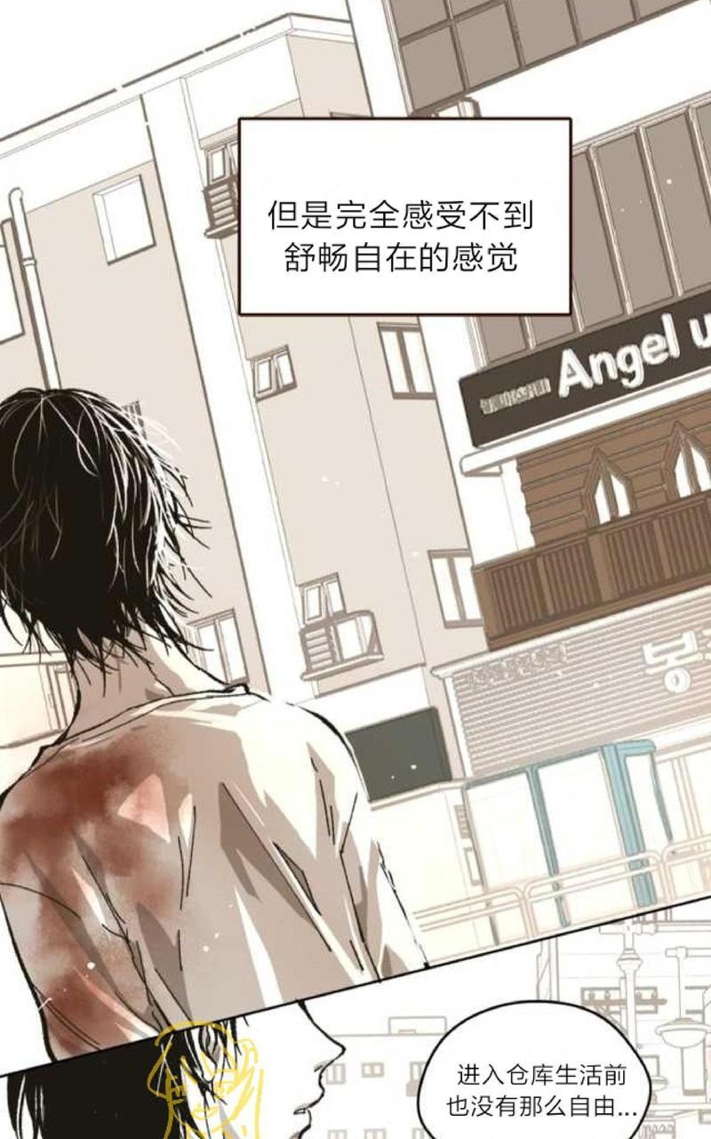 监禁仓库[耽美]韩漫全集-第62话无删减无遮挡章节图片 