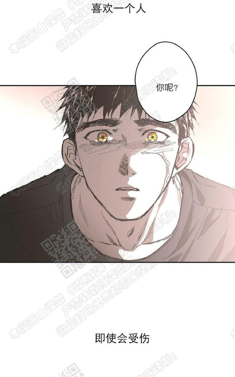 监禁仓库[耽美]韩漫全集-番外5无删减无遮挡章节图片 