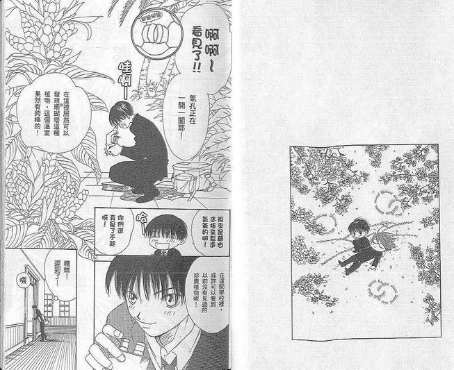 野生的蔷薇[耽美]韩漫全集-第1卷无删减无遮挡章节图片 
