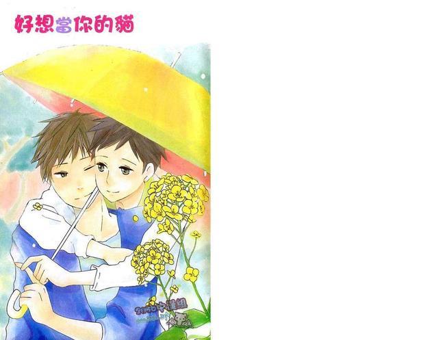 好想当你的猫[耽美]韩漫全集-第1卷无删减无遮挡章节图片 