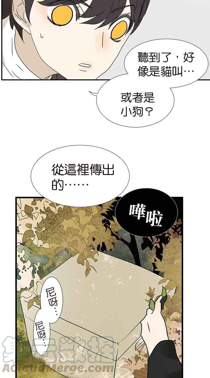 18不限韩漫全集-[第175话] 是猫无删减无遮挡章节图片 