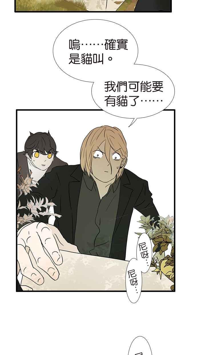 18不限韩漫全集-[第175话] 是猫无删减无遮挡章节图片 