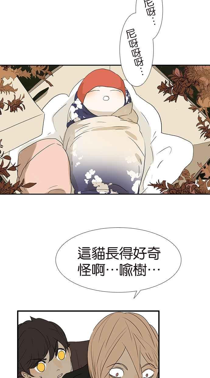 18不限韩漫全集-[第175话] 是猫无删减无遮挡章节图片 