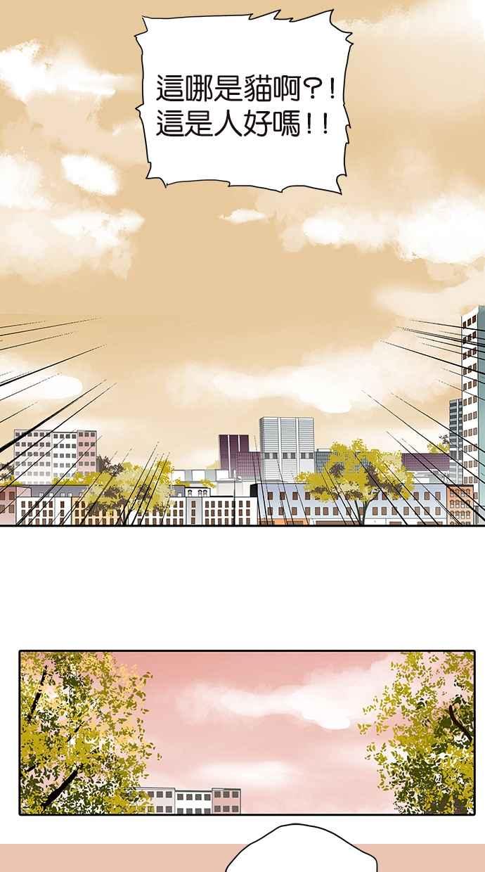 18不限韩漫全集-[第175话] 是猫无删减无遮挡章节图片 