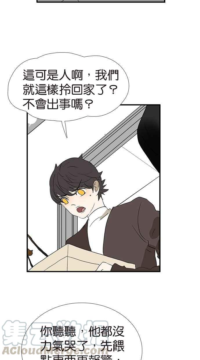 18不限韩漫全集-[第175话] 是猫无删减无遮挡章节图片 
