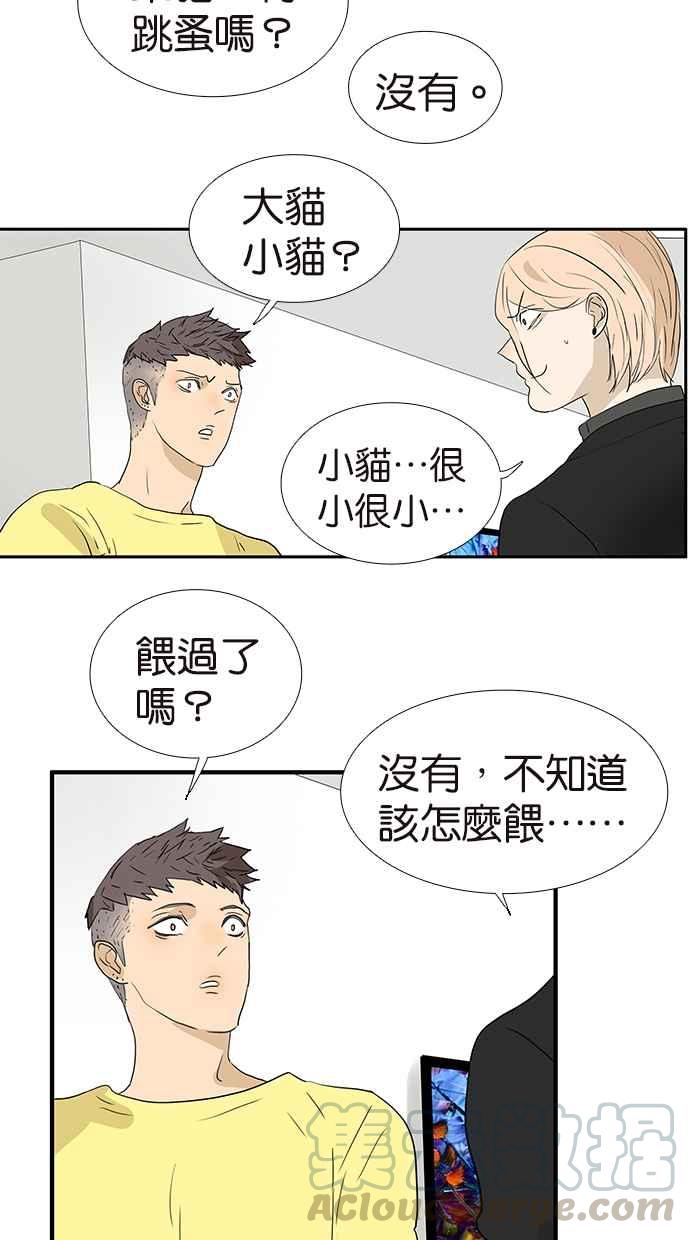 18不限韩漫全集-[第175话] 是猫无删减无遮挡章节图片 