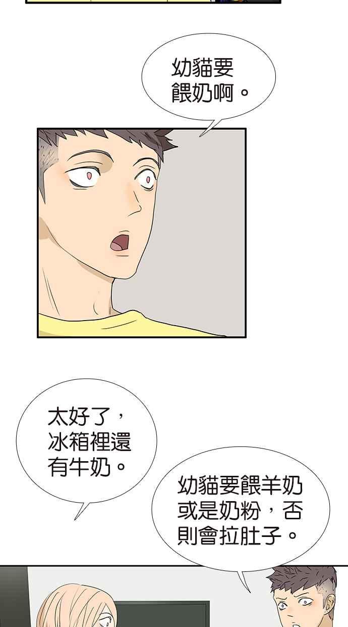 18不限韩漫全集-[第175话] 是猫无删减无遮挡章节图片 