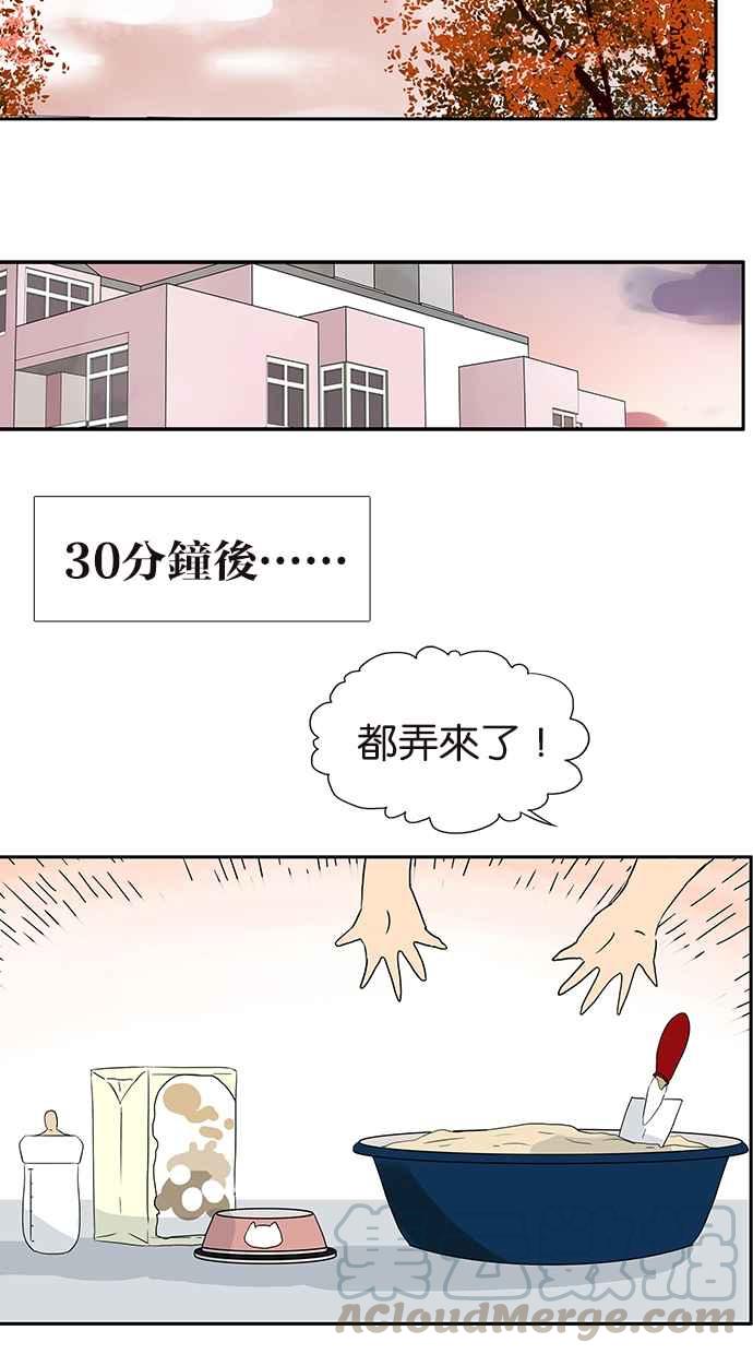 18不限韩漫全集-[第175话] 是猫无删减无遮挡章节图片 