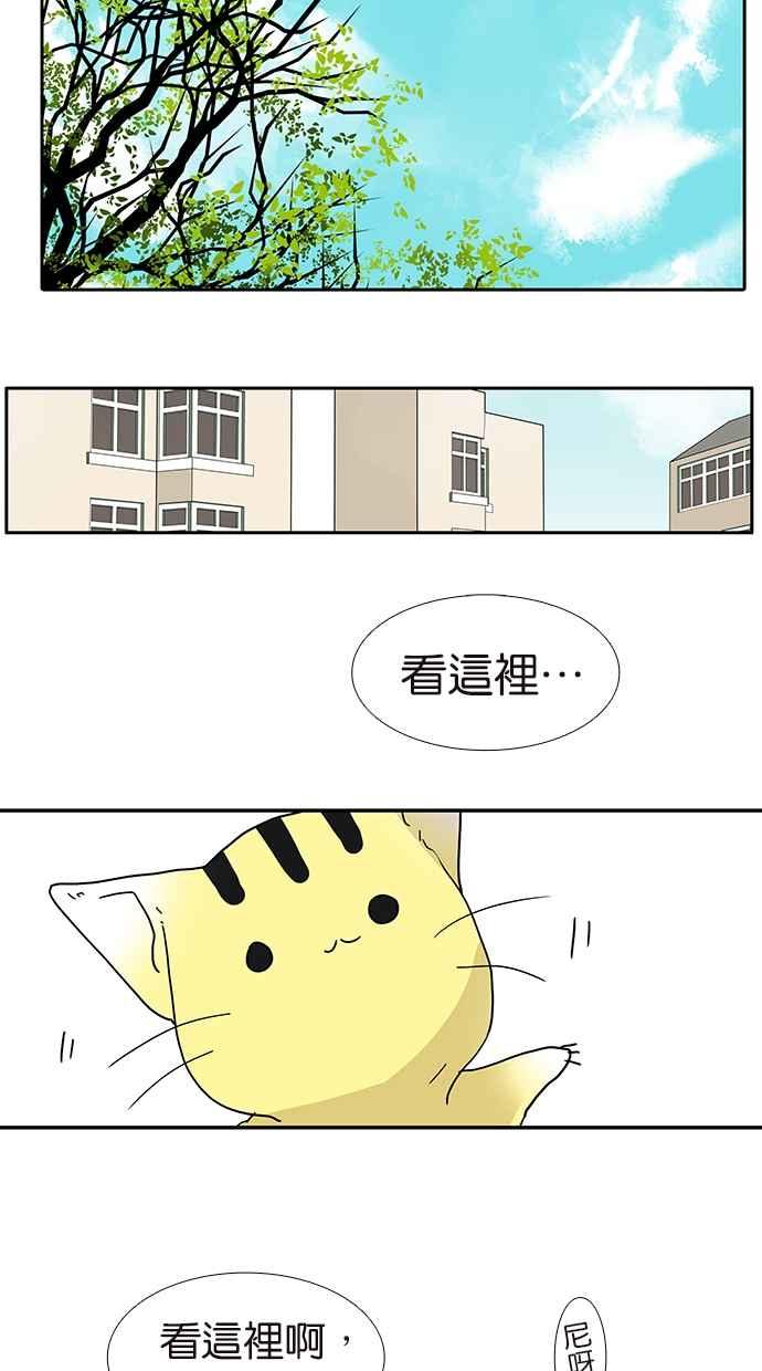 18不限韩漫全集-[第177话] 杀手无删减无遮挡章节图片 