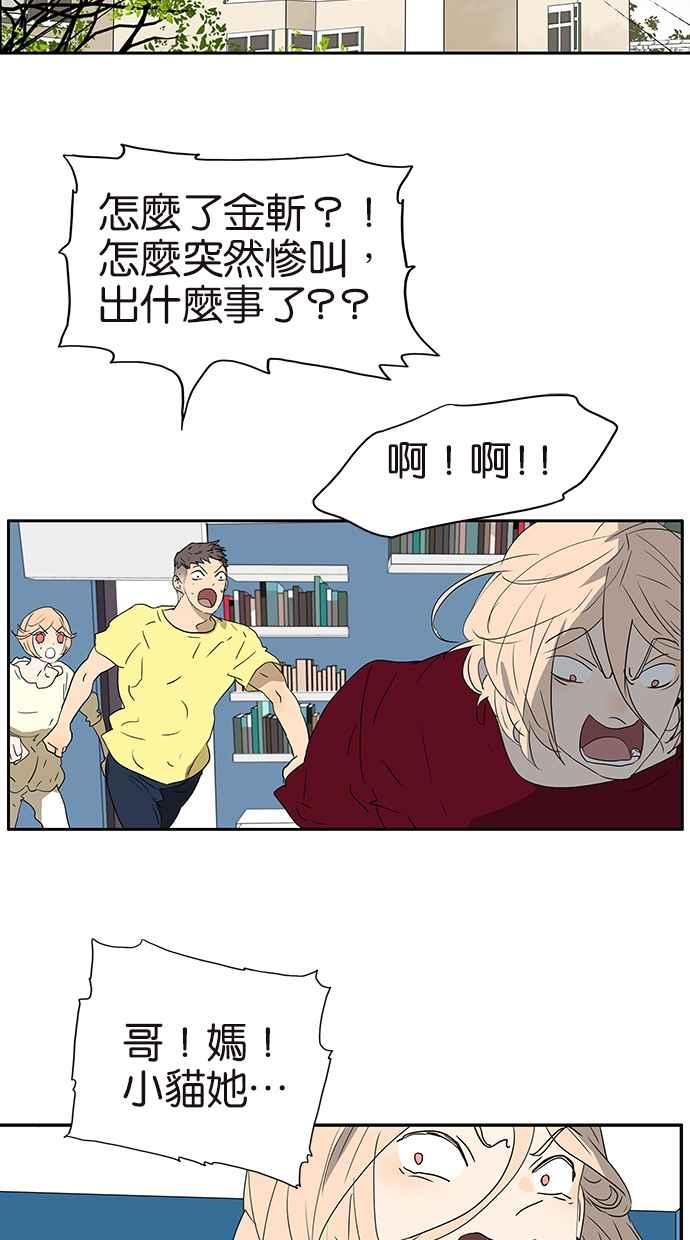 18不限韩漫全集-[第177话] 杀手无删减无遮挡章节图片 