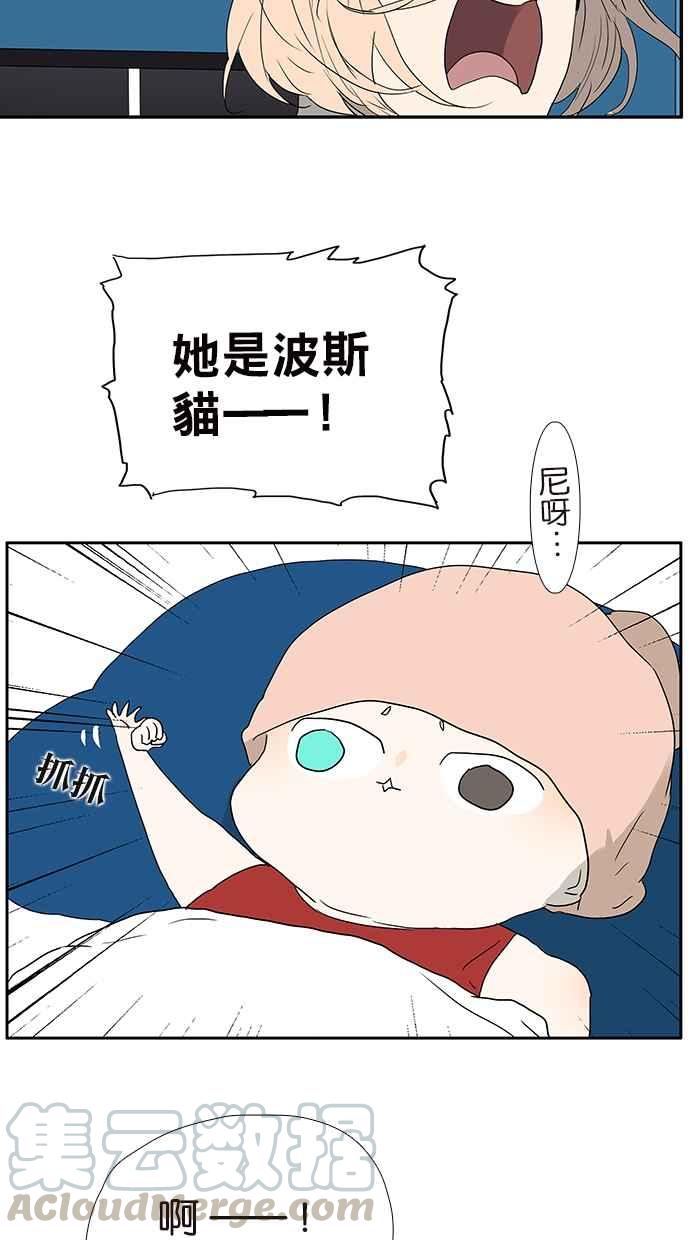 18不限韩漫全集-[第177话] 杀手无删减无遮挡章节图片 