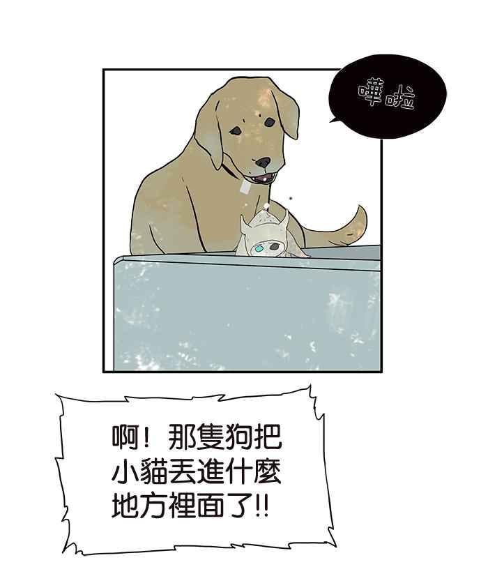 18不限韩漫全集-[第200话] 爱的告白无删减无遮挡章节图片 