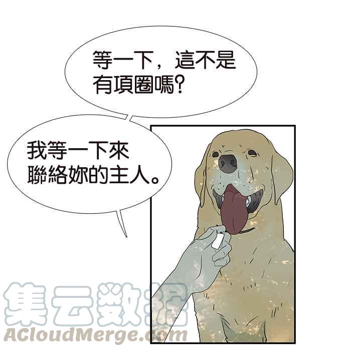 18不限韩漫全集-[第200话] 爱的告白无删减无遮挡章节图片 