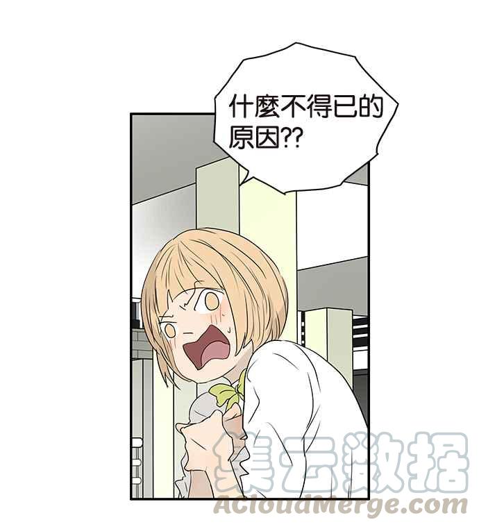 18不限韩漫全集-[第201话] 掩护无删减无遮挡章节图片 