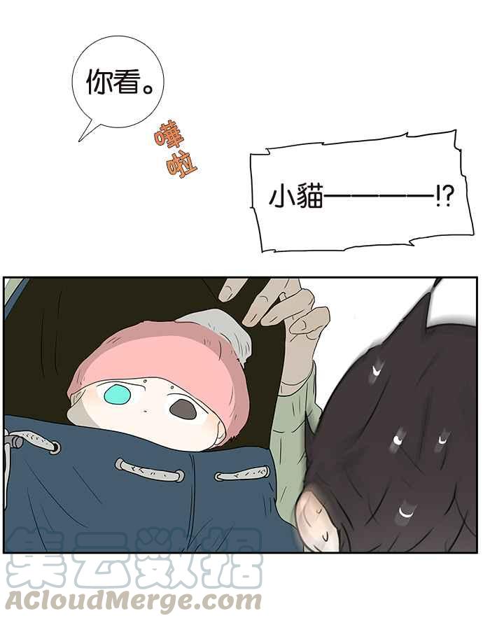 18不限韩漫全集-[第209话] 最公正的女人无删减无遮挡章节图片 