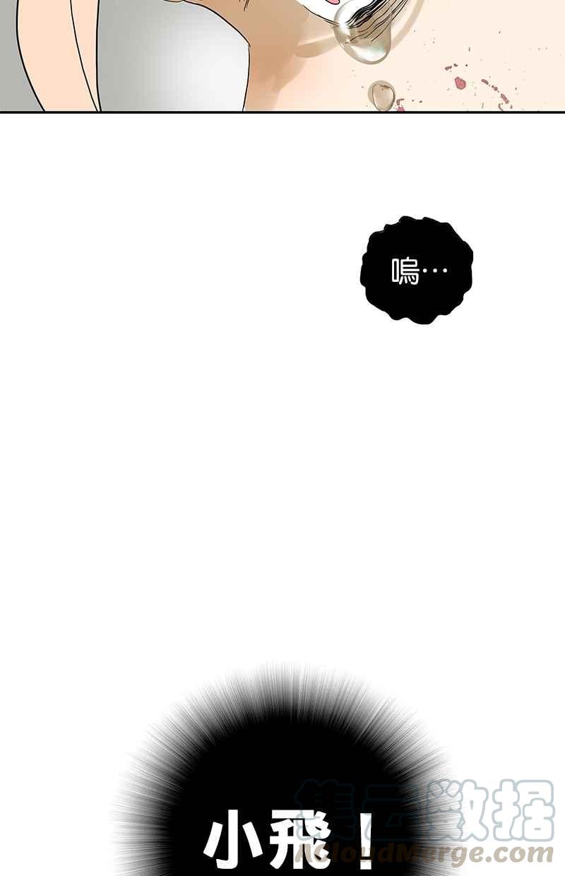 18不限韩漫全集-[第83话] 别动我的人无删减无遮挡章节图片 