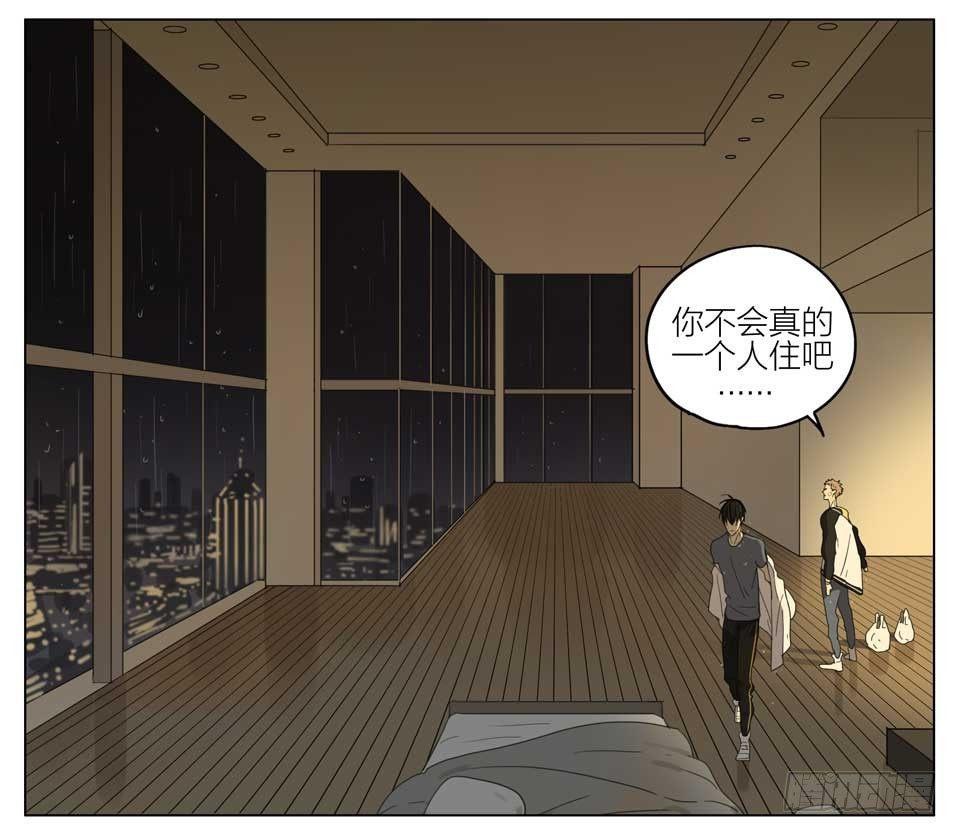 19天韩漫全集-快去做饭无删减无遮挡章节图片 