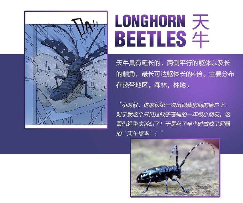 404事件簿-30秒后世界末日韩漫全集-百科 虫男大百科无删减无遮挡章节图片 