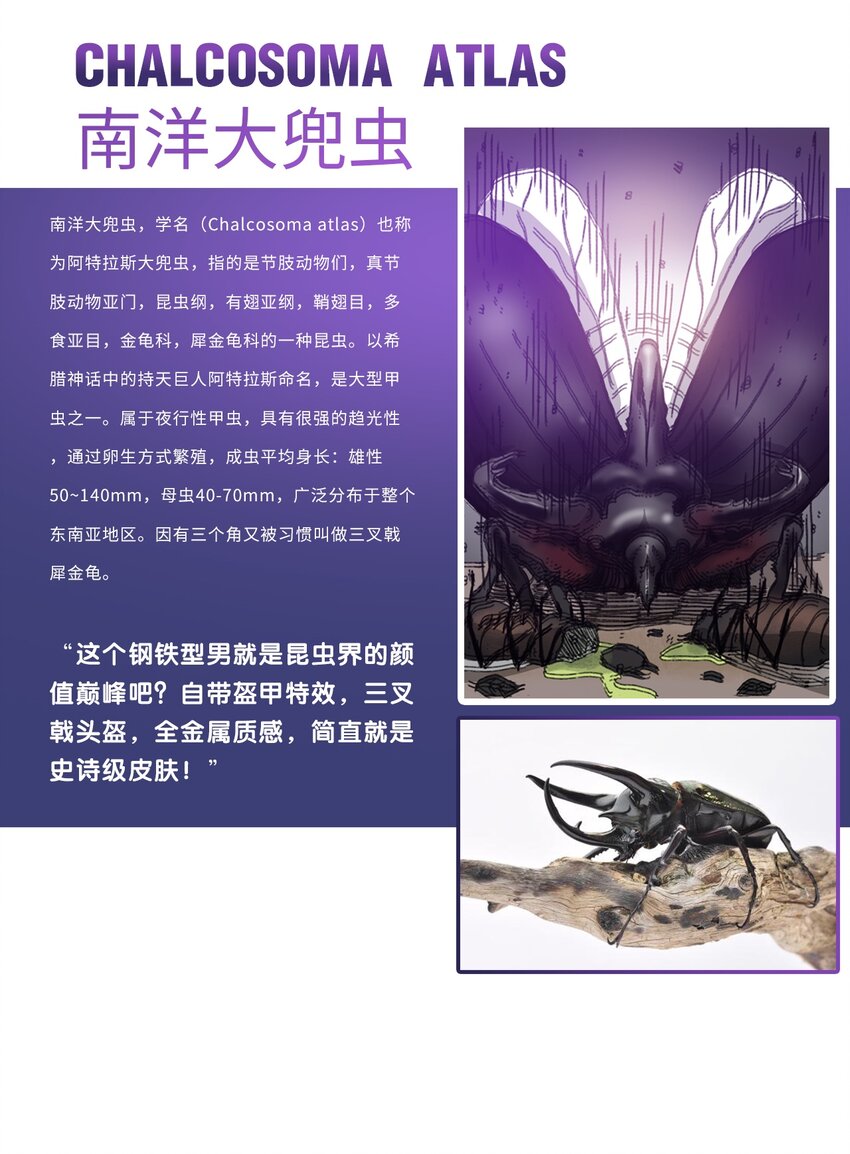 404事件簿-30秒后世界末日韩漫全集-番外01 番外01+百科无删减无遮挡章节图片 