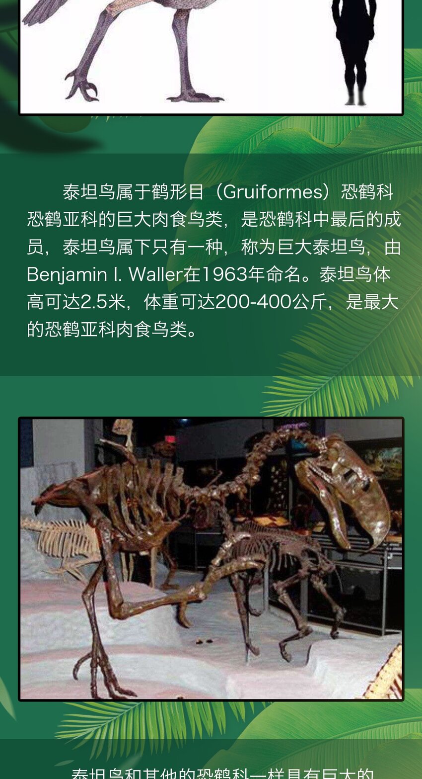 404事件簿-30秒后世界末日韩漫全集-百科 虫男大百科3无删减无遮挡章节图片 