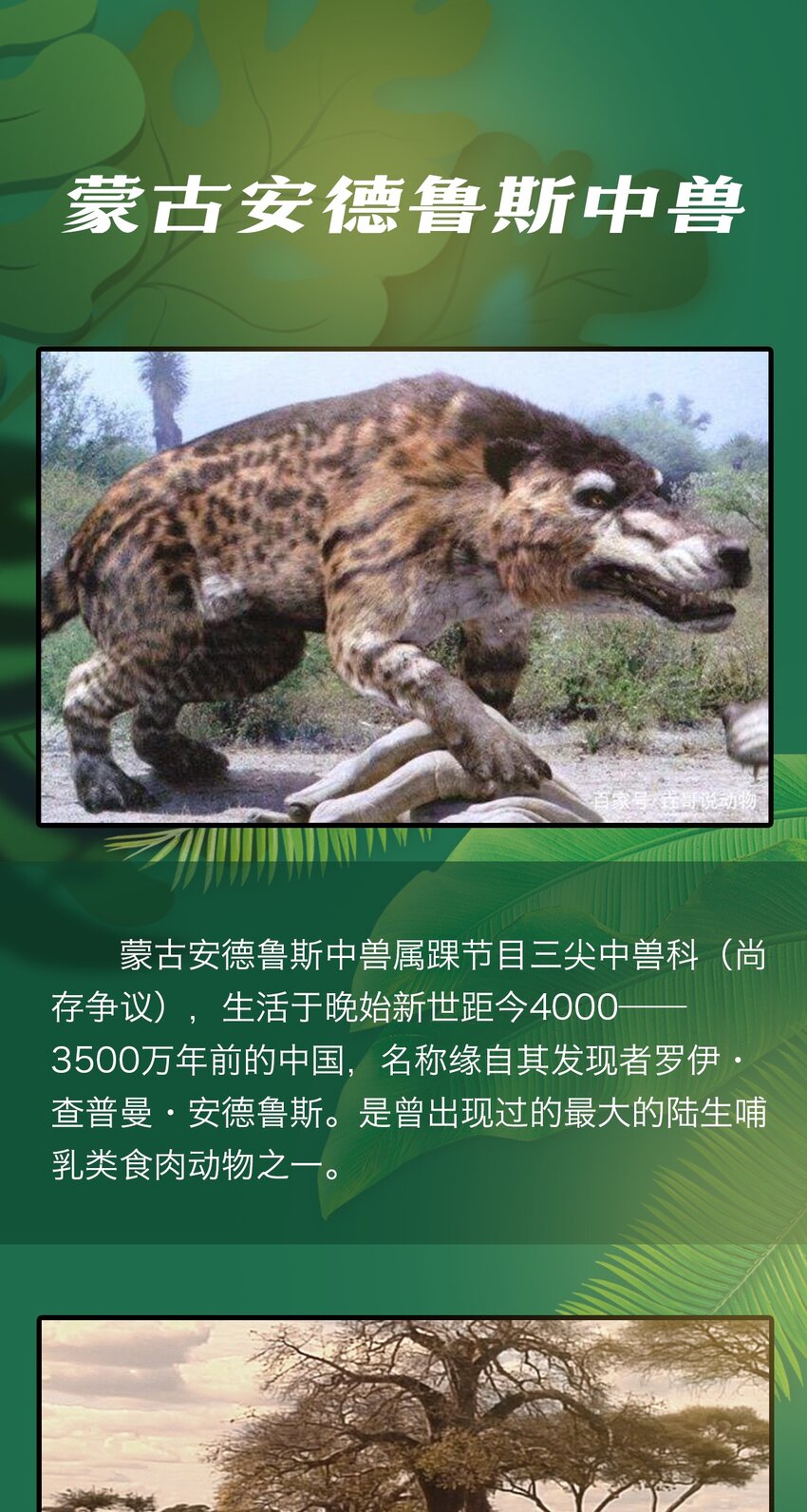 404事件簿-30秒后世界末日韩漫全集-百科 虫男大百科3无删减无遮挡章节图片 