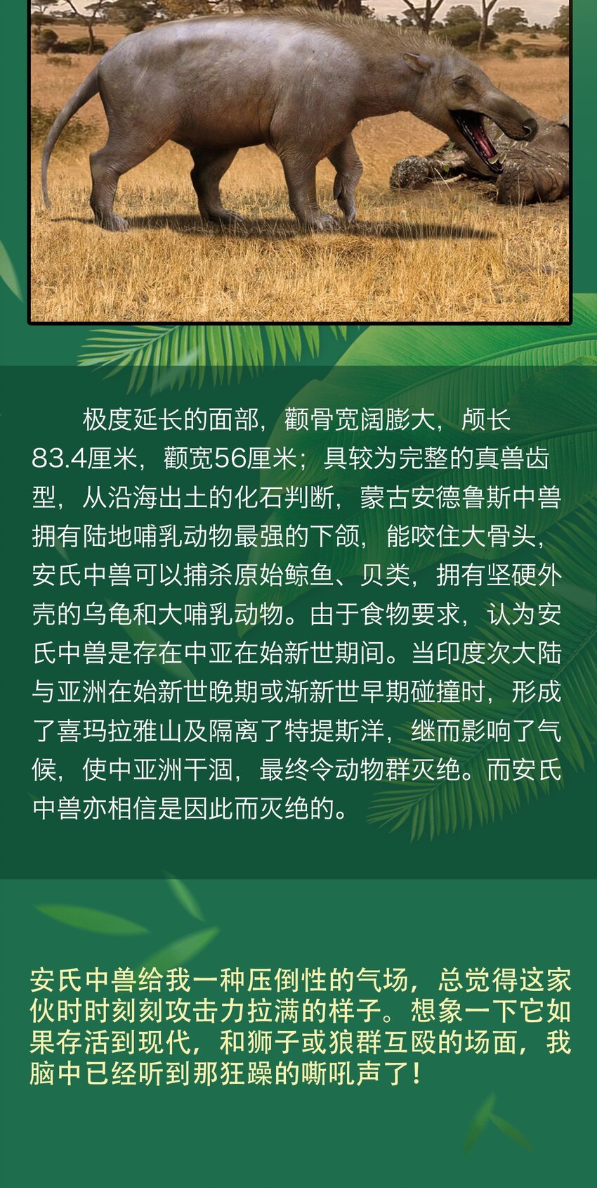 404事件簿-30秒后世界末日韩漫全集-百科 虫男大百科3无删减无遮挡章节图片 