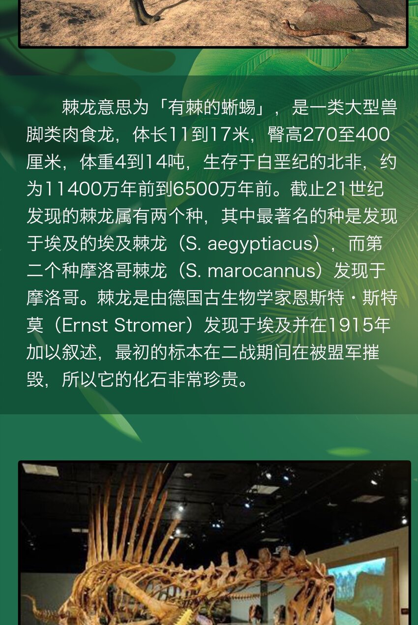 404事件簿-30秒后世界末日韩漫全集-百科 虫男大百科3无删减无遮挡章节图片 