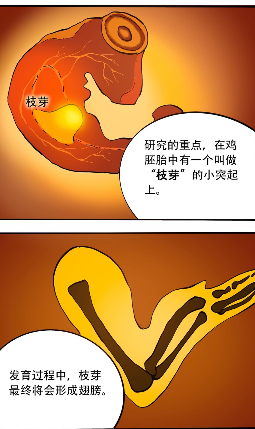 404事件簿-30秒后世界末日韩漫全集-番外3 设计人类无删减无遮挡章节图片 