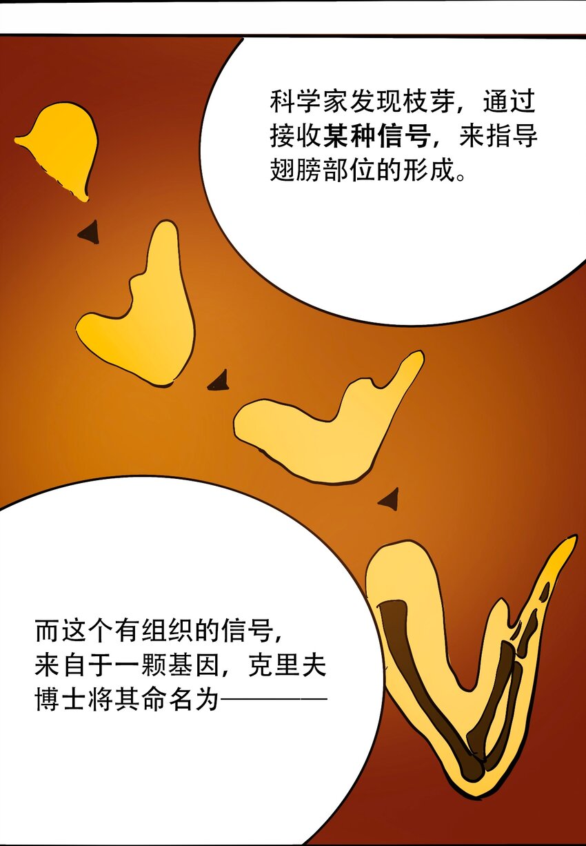404事件簿-30秒后世界末日韩漫全集-番外3 设计人类无删减无遮挡章节图片 