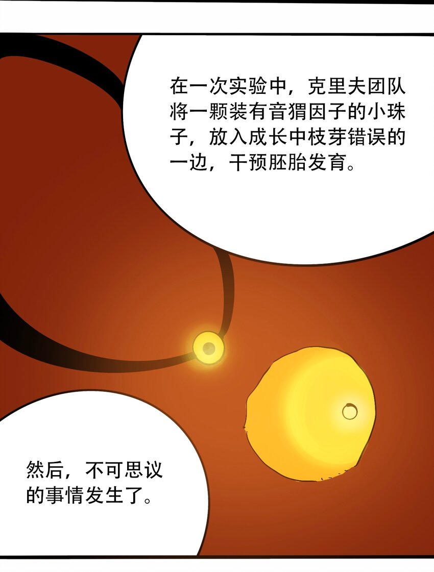 404事件簿-30秒后世界末日韩漫全集-番外3 设计人类无删减无遮挡章节图片 
