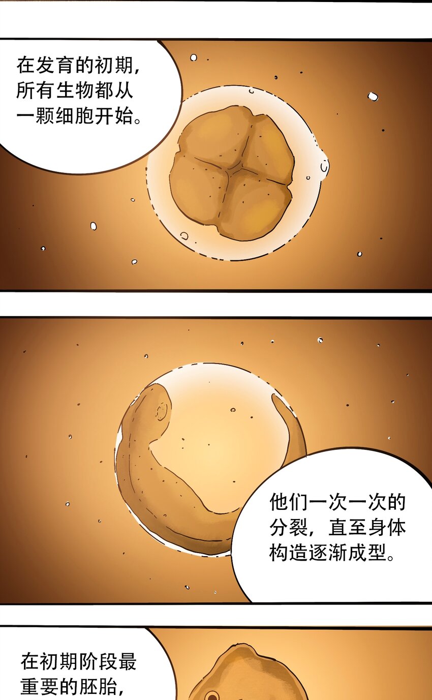 404事件簿-30秒后世界末日韩漫全集-番外3 设计人类无删减无遮挡章节图片 