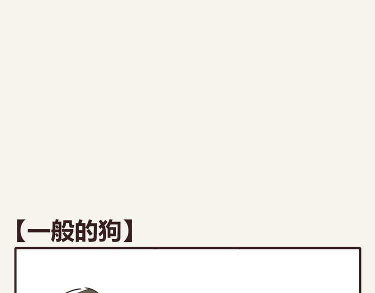 805韩漫全集-第0146话 一般的狗无删减无遮挡章节图片 