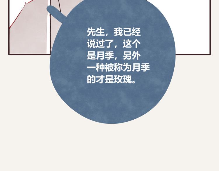 805韩漫全集-第0162话 玫瑰与月季无删减无遮挡章节图片 