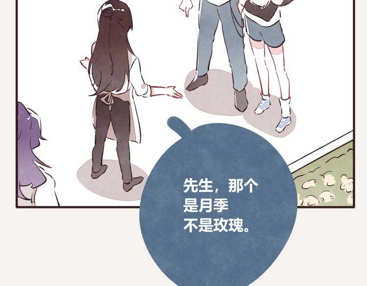 805韩漫全集-第0162话 玫瑰与月季无删减无遮挡章节图片 