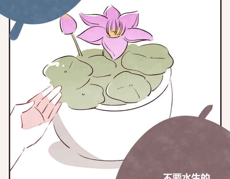 805韩漫全集-第0164话 多肉无删减无遮挡章节图片 