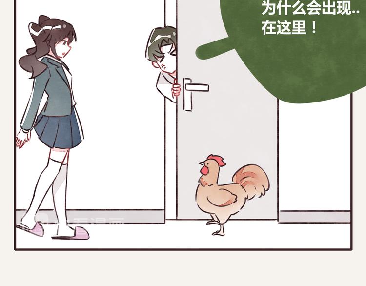 805韩漫全集-第0257话 没被鸡追过的人生无删减无遮挡章节图片 