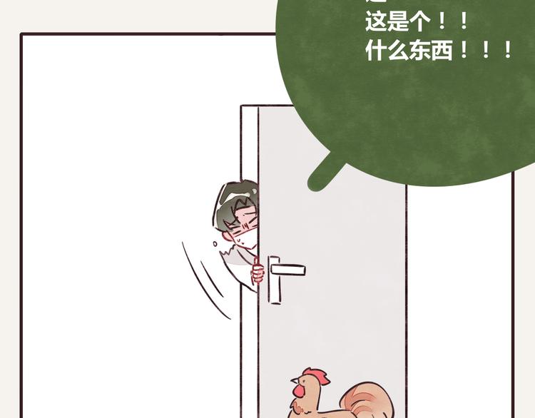 805韩漫全集-第0257话 没被鸡追过的人生无删减无遮挡章节图片 