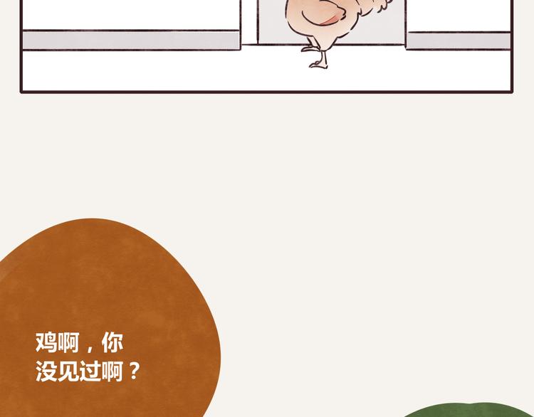 805韩漫全集-第0257话 没被鸡追过的人生无删减无遮挡章节图片 