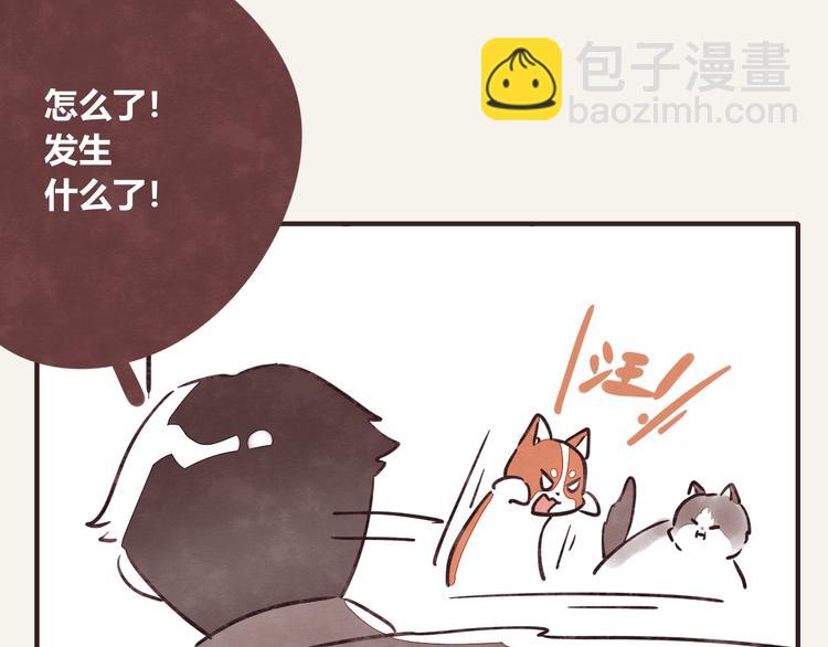 805韩漫全集-第0284话 亲兄妹1无删减无遮挡章节图片 