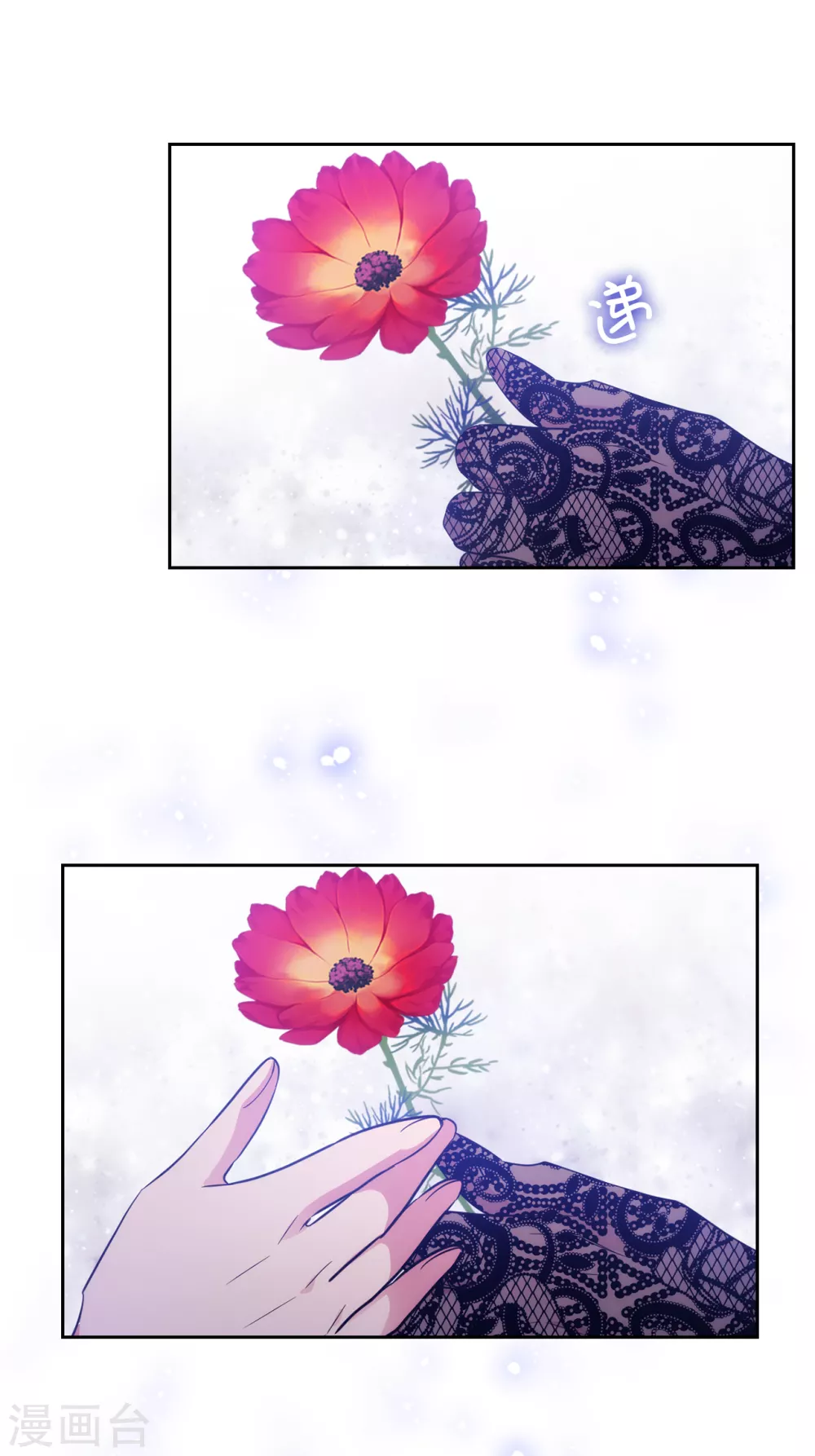 阿多尼斯韩漫全集-第312话 为什么给现在的我鲜花掌声？无删减无遮挡章节图片 